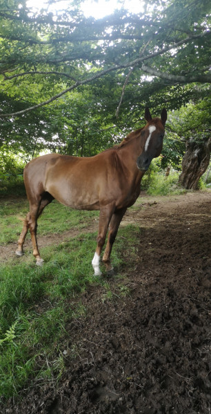 Photo de profil de gege1077