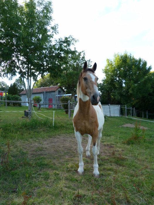 Photo de profil de gema