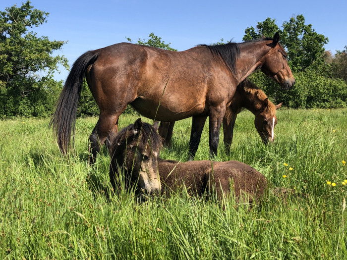 Photo de profil de getchup33