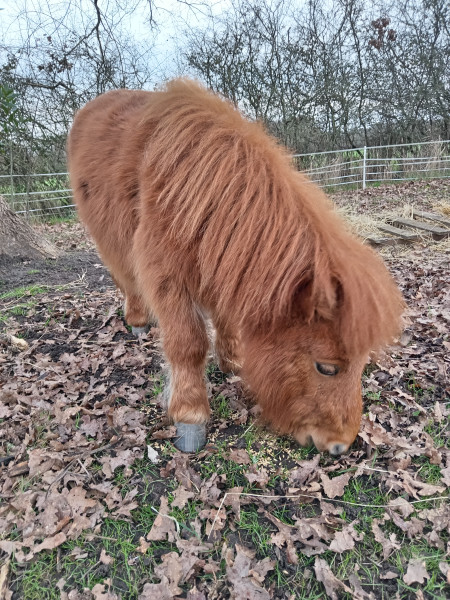 Photo de profil de gfd41