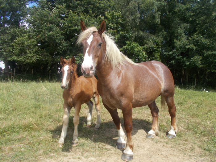 Photo de profil de gg56