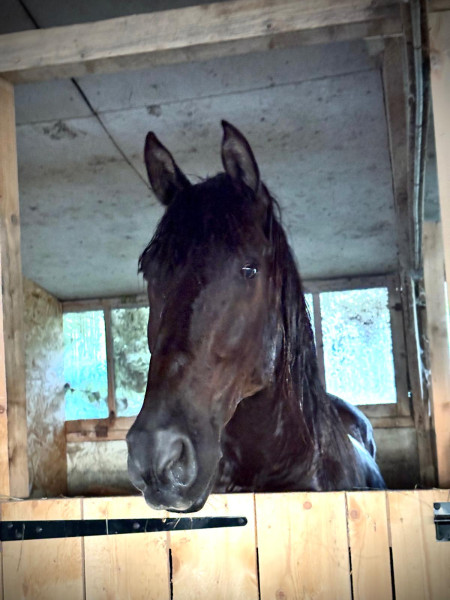 Photo de profil de gitanoluna