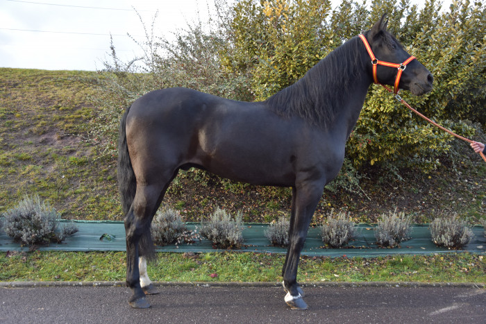 Photo de profil de glupschien57