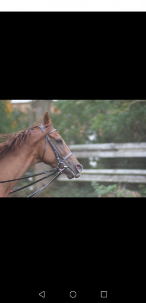 Photo de profil de goldgold