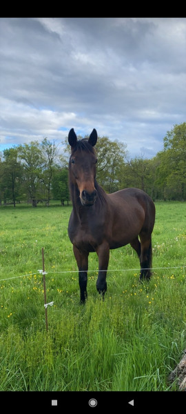 Photo de profil de golea_c