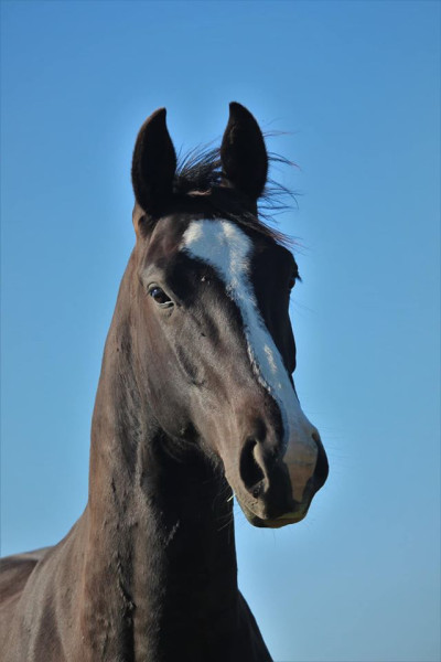 Photo de profil de gotham.bm