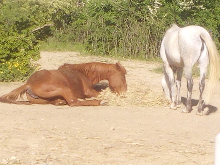 Photo de profil de grace1962