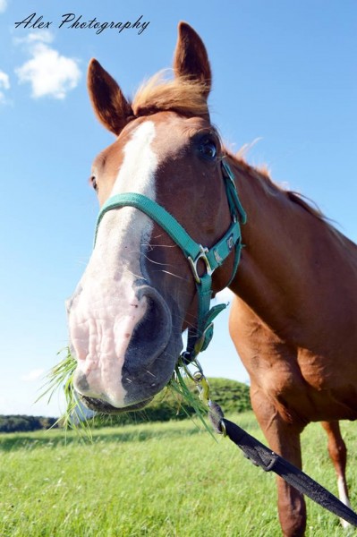 Photo de profil de grunkappchen