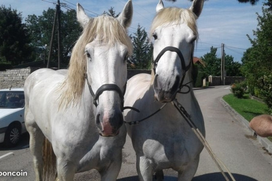 Photo de profil de gs38