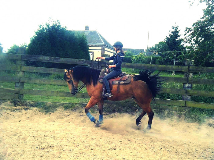 Photo de profil de guessprincess