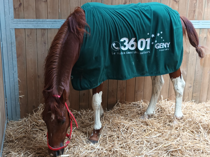 Photo de profil de guillaumevalvic