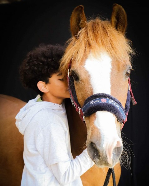 Photo de profil de guillou56