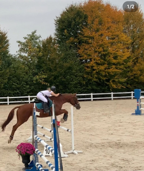 Photo de profil de guizmooo77