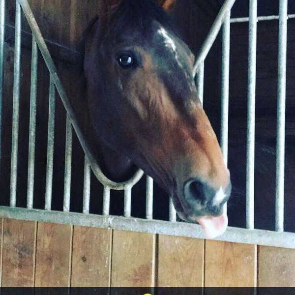 Photo de profil de gwen28250