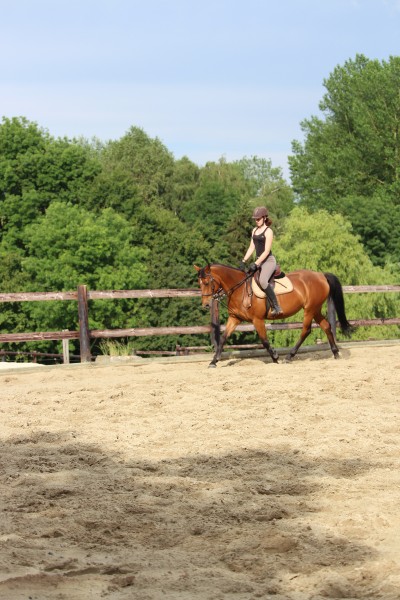 Photo de profil de gwendodo51