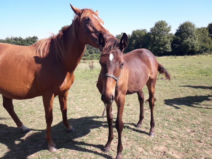 Photo de profil de h10chachou