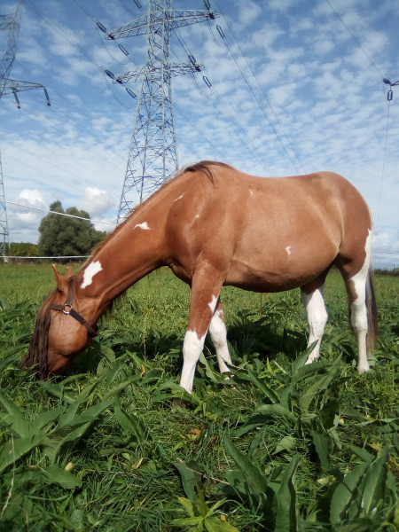 Photo de profil de happy59