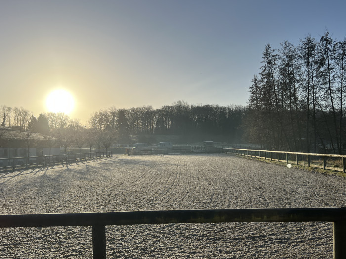 Photo de profil de haras59