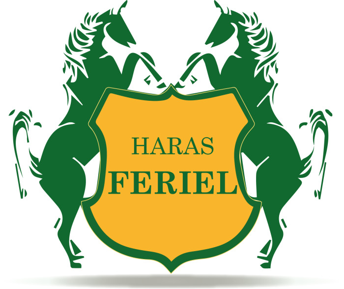 Photo de profil de harasferiel