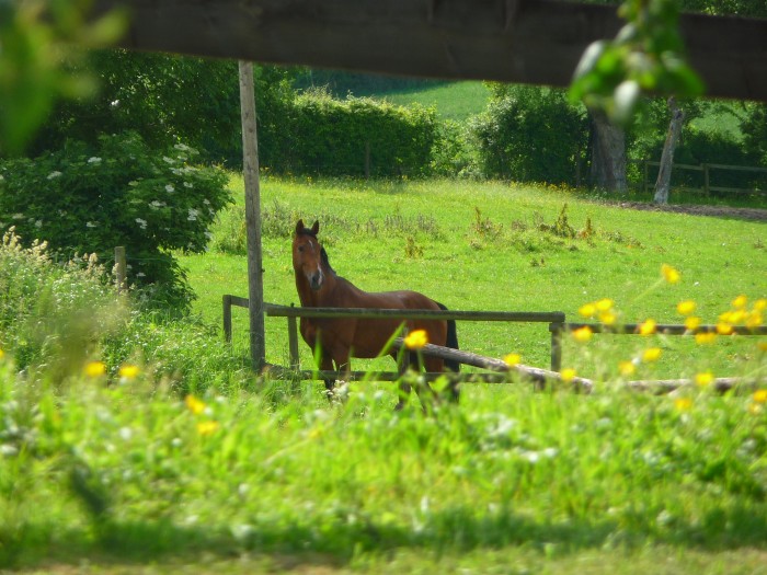 Photo de profil de harasndujusclay