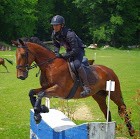 Photo de profil de harri