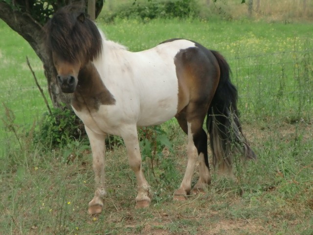 Photo de profil de hava12