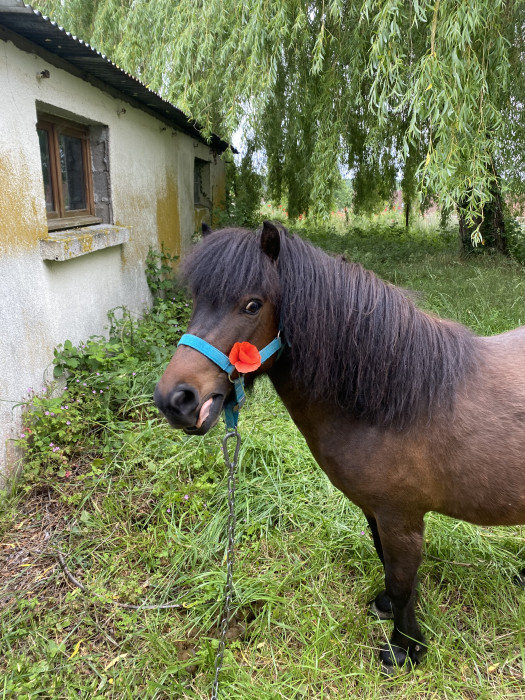 Photo de profil de hdb37