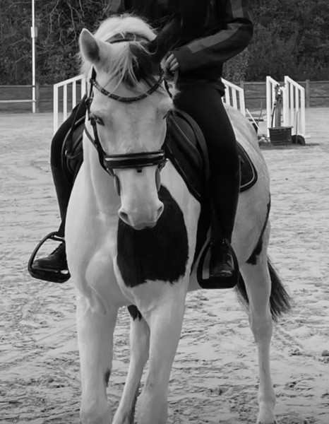 Photo de profil de heaxven