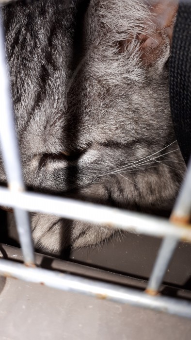 Photo de profil de heebie28