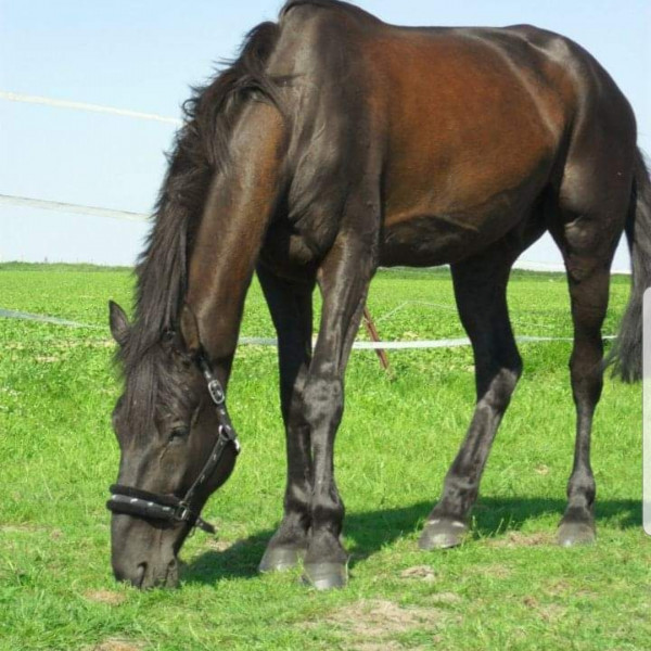Photo de profil de helene5982