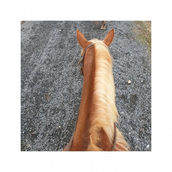 Photo de profil de helene95520