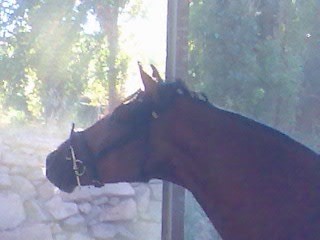 Photo de profil de helio1222