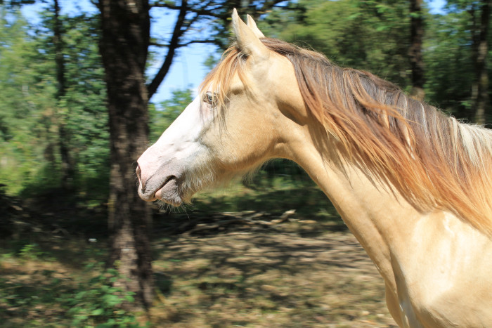 Photo de profil de hell_izaa