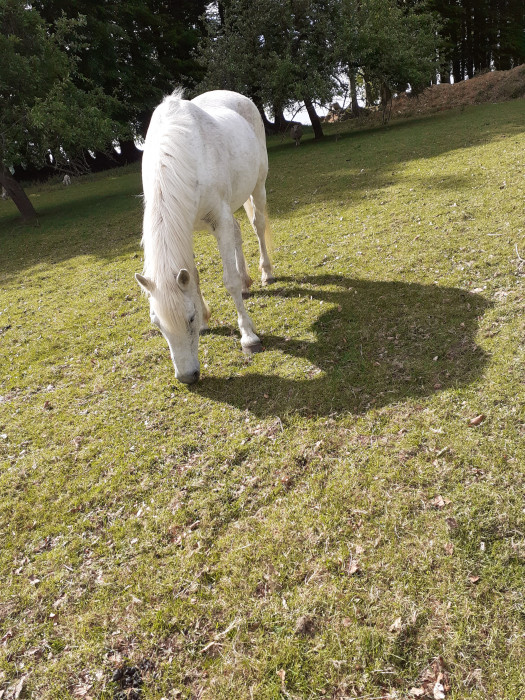 Photo de profil de heloise.10