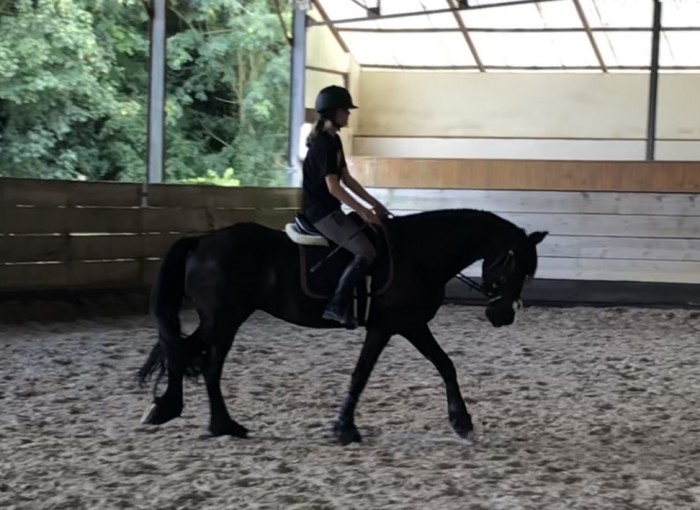 Photo de profil de heloni