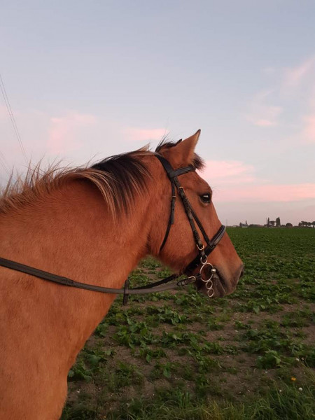 Photo de profil de heloo_o