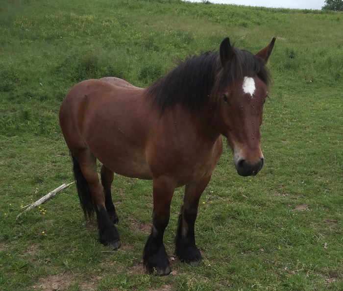 Photo de profil de hempereur