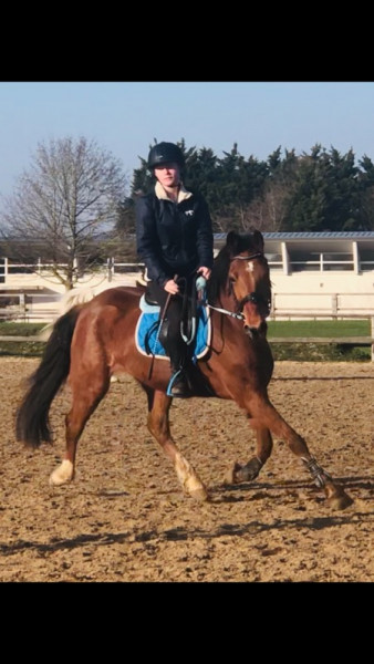 Photo de profil de herine.aubry