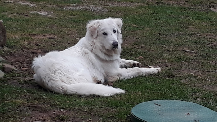 Photo de profil de hermes59232