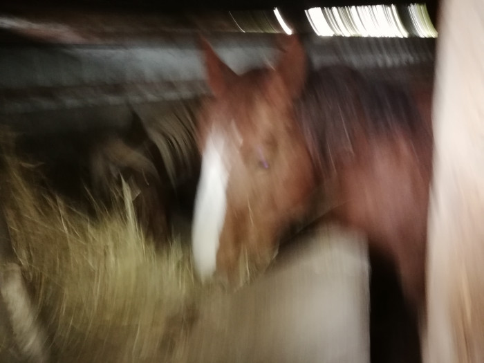 Photo de profil de hierry49