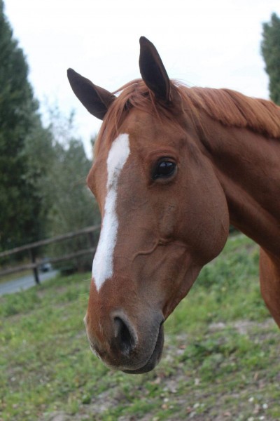Photo de profil de hillary