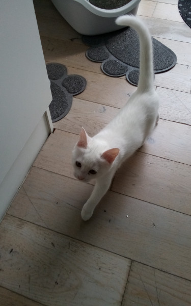 Photo de profil de hillemar