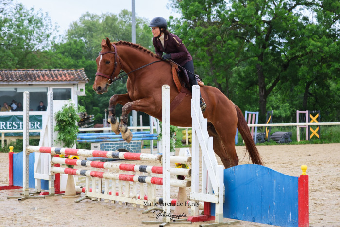 Photo de profil de himaliae