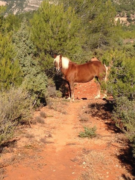 Photo de profil de hlbjoya38