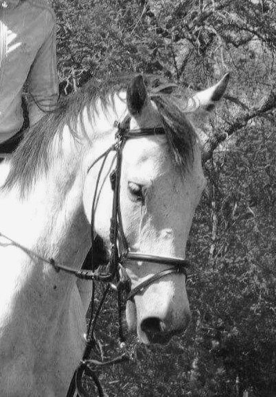 Photo de profil de hmatraph76