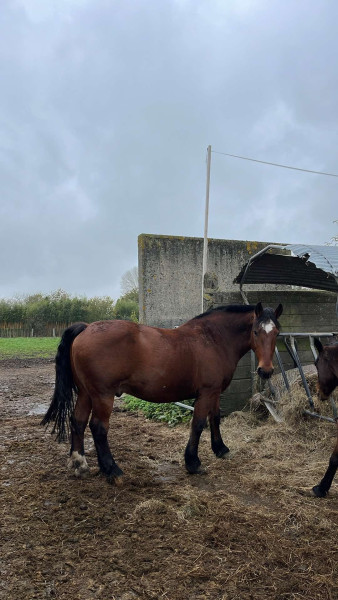 Photo de profil de hono59