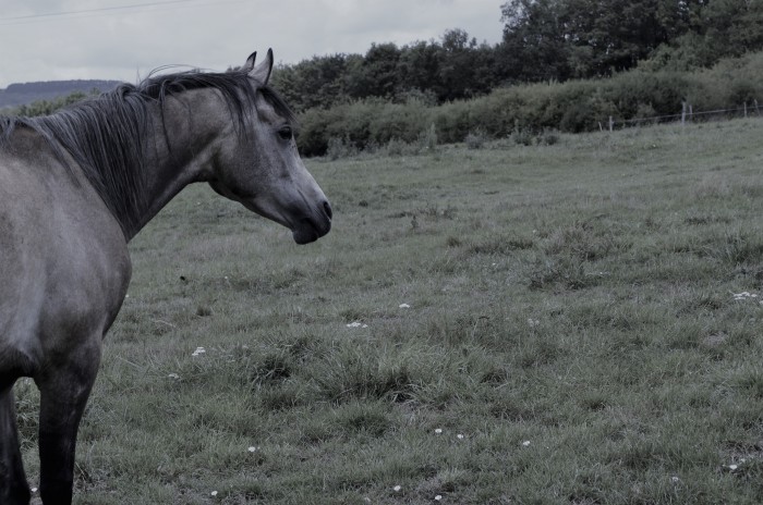 Photo de profil de honorata