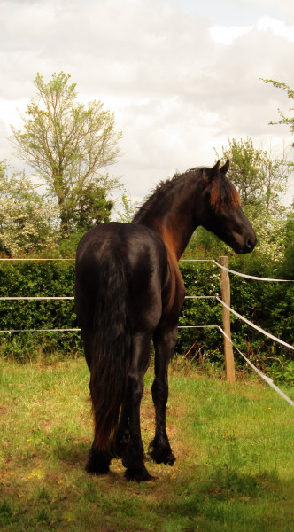 Photo de profil de hoop18