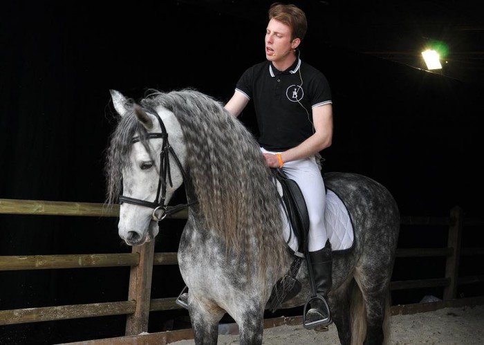 Photo de profil de horsalesbe