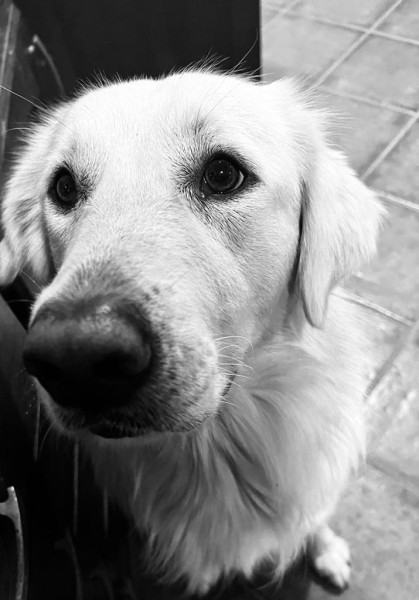 Photo de profil de horseandme